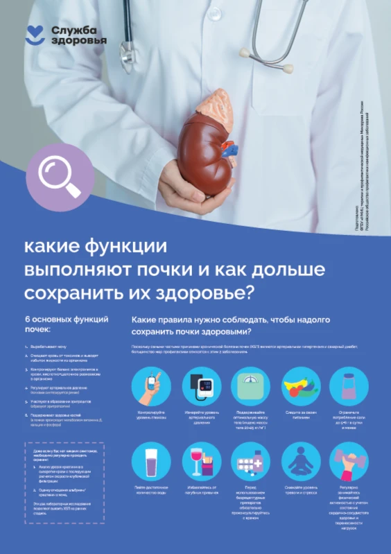 Функция почек