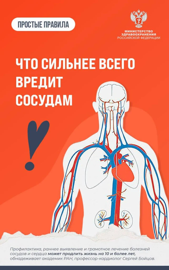 Сосуды_1.jpeg