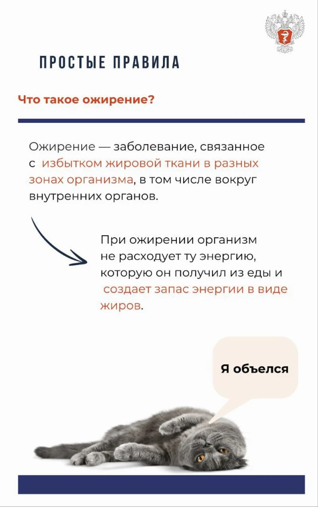 2.jpg 2.jpg
