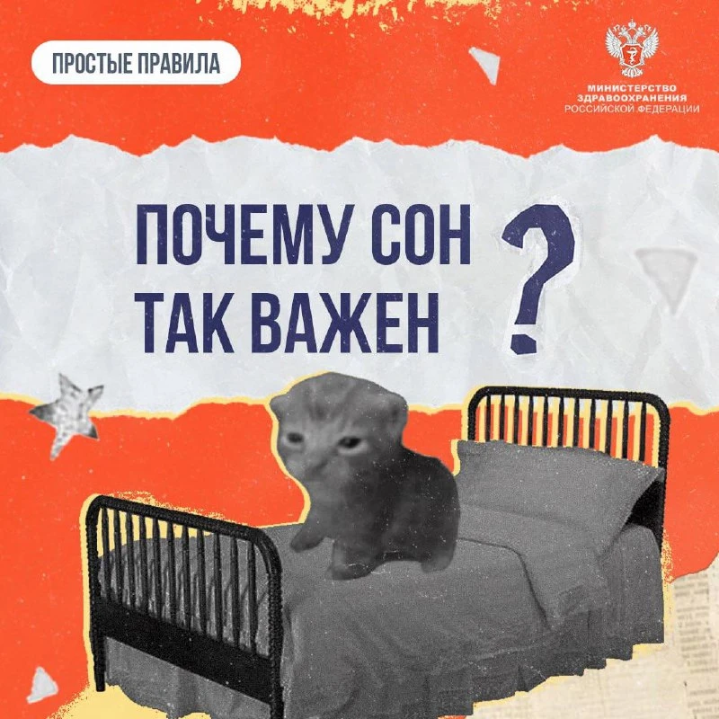 Важность сна_1.jpeg