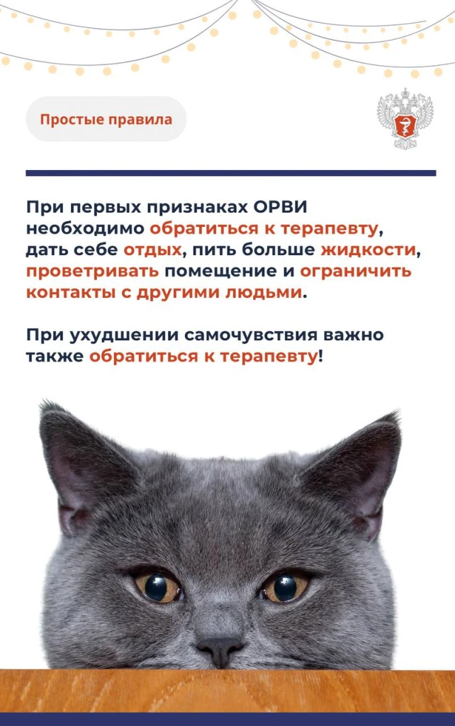 Мужчина и простуда 6.jpg