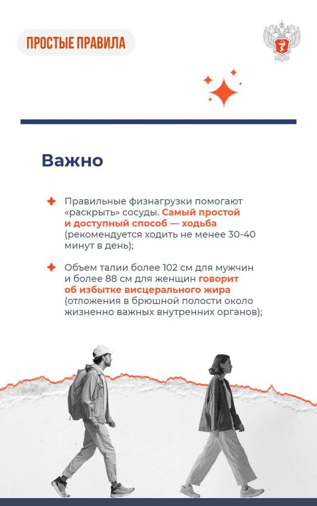 Сосуды_3.jpeg