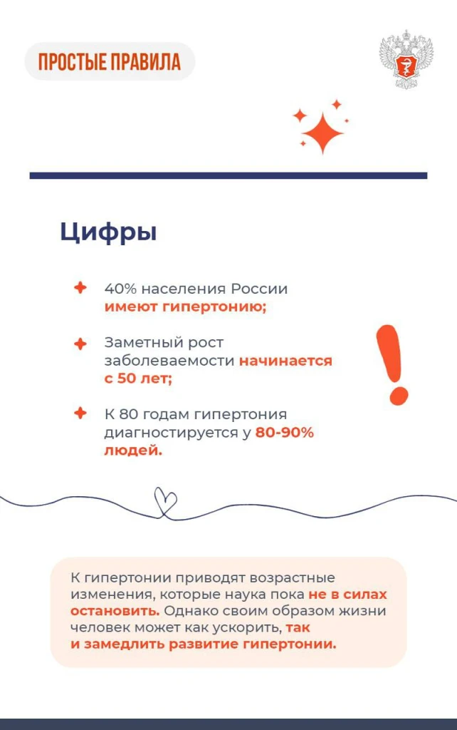 Сосуды_2.jpeg