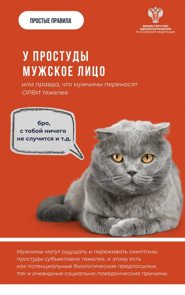Мужчина и простуда 1.jpg
