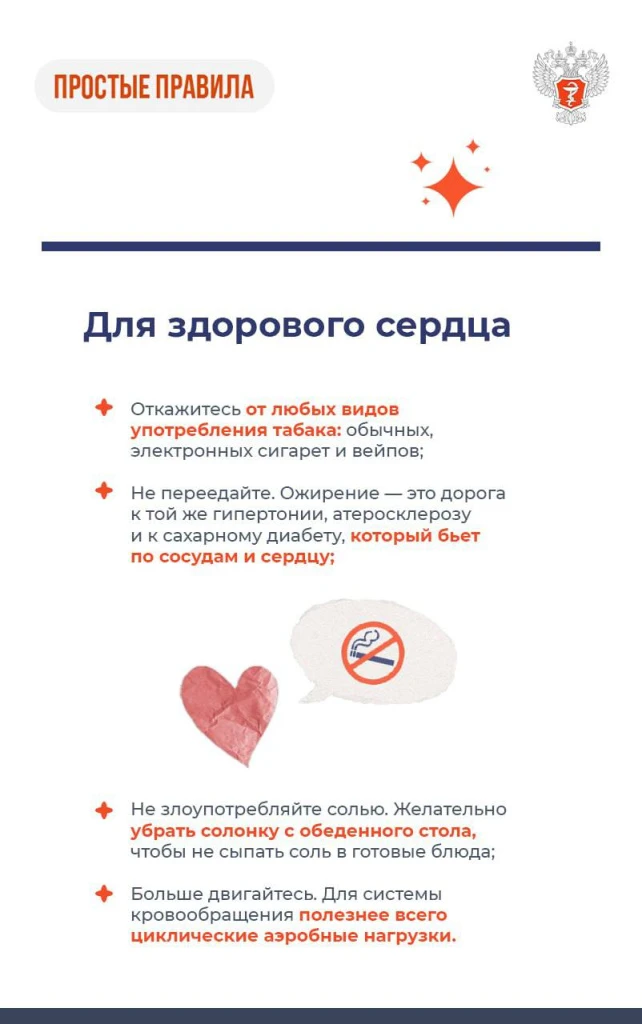 Сосуды_4.jpeg