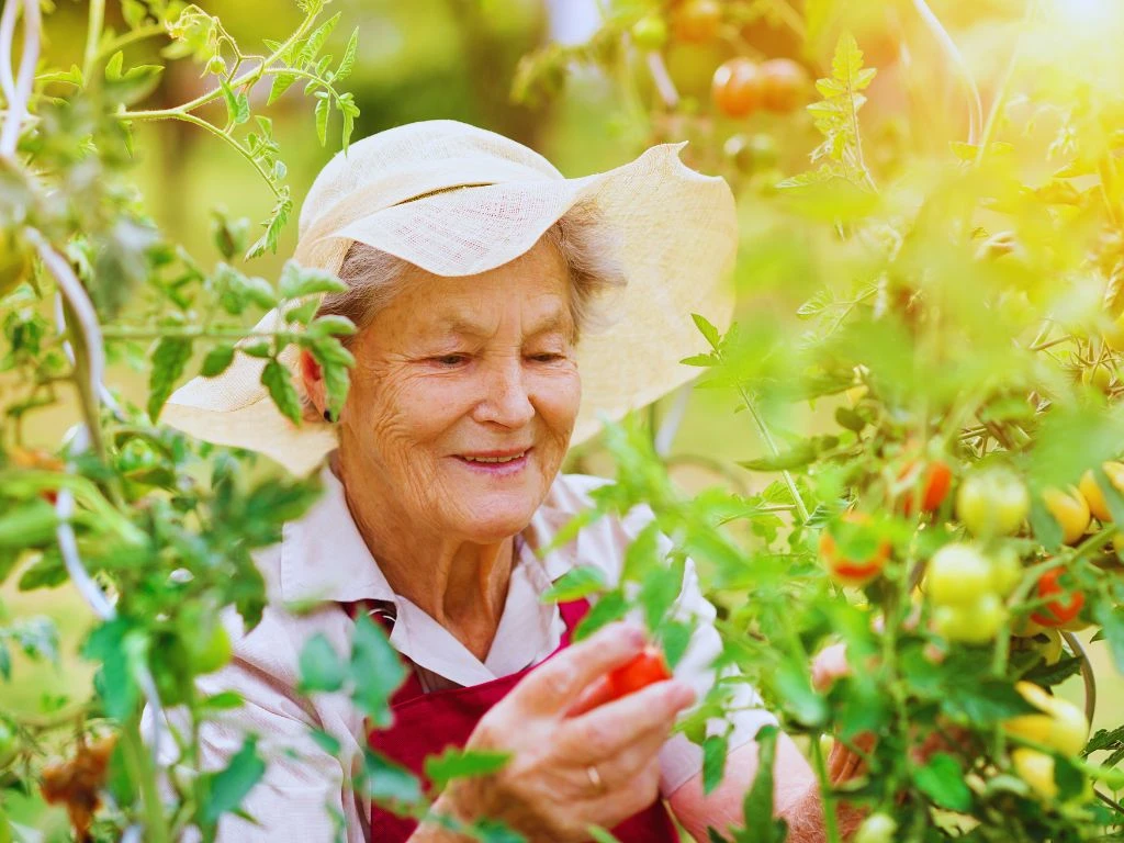 gardening.jpg
